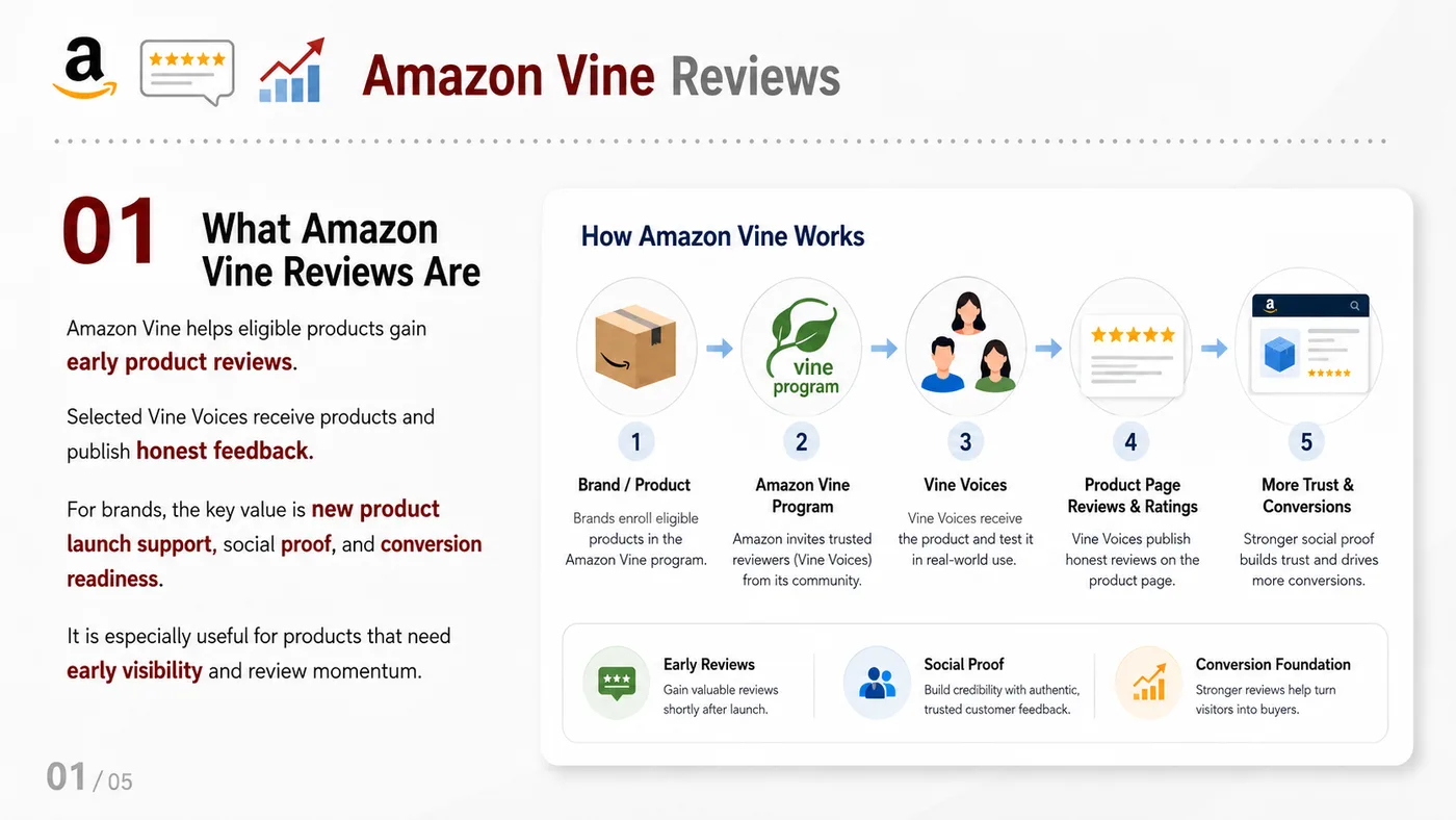 Amazon Vine Review Program service card, page 1: Amazon Vine Review Program focuses on platform setup, data preparation, listing optimization, ads, reviews and ongoing...
